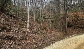 Tatham Gap Road, Andrews, NC 28901