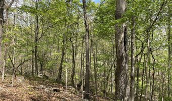 State Hwy N Tract G, Ava, MO 65608
