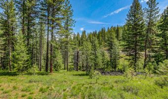 TBD Tamarack View Drive, New Meadows, ID 83654