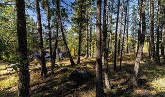 266 Eagle Bend Dr, Bigfork, MT 59911