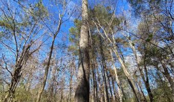 0 Shoal Creek Rd, Ashville, AL 35953