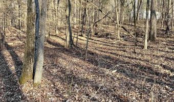 SPRINGHOLLOW ROAD lot 11, Ashville, AL 35953