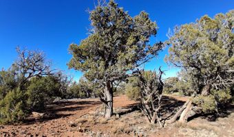 3 N 8716, Concho, AZ 85924