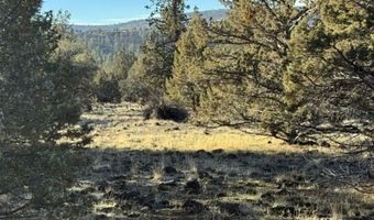 Canvasback Drive, Bonanza, OR 97623