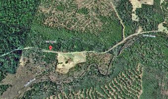 Lot 23 Mill Road, Bancroft, ME 04497