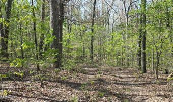 000 62 S Plainview Rd, Anderson, MO 64831