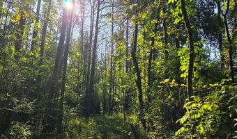 000 Hwy 500, Brookhaven, MS 39601