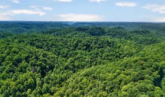 2926 Bryant Ridge Rd, Baxter, TN 38544