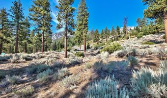 150 Summit Ridge Way, Gardnerville, NV 89460