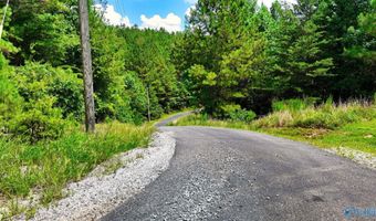 Arley Lndg, Arley, AL 35541