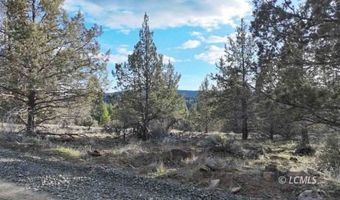 Canvasback, Bonanza, OR 97623