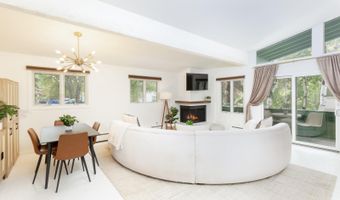415 Park Cir 5, Aspen, CO 81611