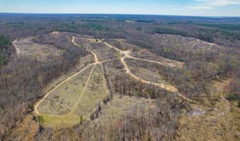 0 Vista Ln, Bethel Springs, TN 38315