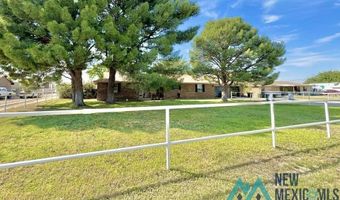 4405 S Thomason Rd, Carlsbad, NM 88220