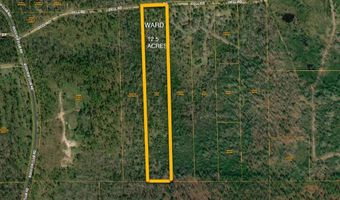 00 DELL Rd, Bainbridge, GA 39819