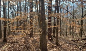 1500 Burton Loop Rd, Altoona, AL 35952