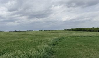 192 Fm 1183, Alba, TX 75119