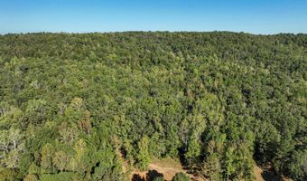 0 Slasham Rd, Ashville, AL 35953