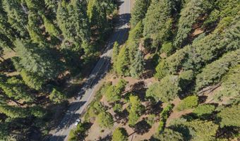 403 Sierra Pkwy, Camp Connell, CA 95223