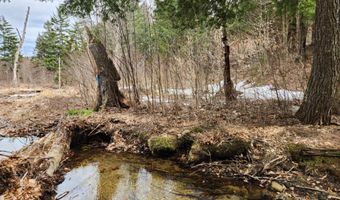 0 Clarks/Woodland Trl 409-4, Alexandria, NH 03220