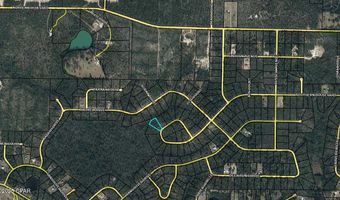 Southern Boulevard lot 27, Alford, FL 32420