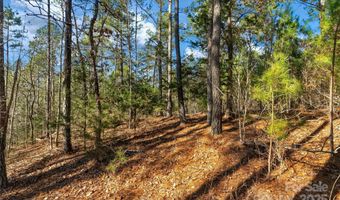 Old Douglass Road unit 3 3, Blackstock, SC 29014