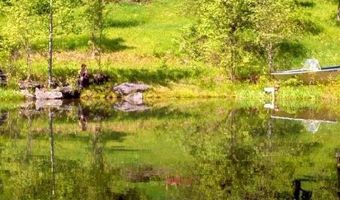 1312 Macintosh Hill Rd, Bethel, VT 05060