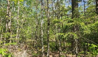 Map R1 21 Alna Road, Alna, ME 04535