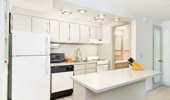 935 E Hopkins Ave 6, Aspen, CO 81611