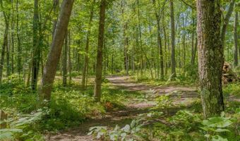 32003 Nuthatch Ave, Aitkin, MN 56431