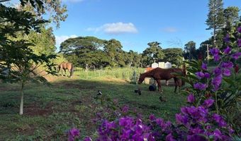 KANAELE RD, Kapaa, HI 96746