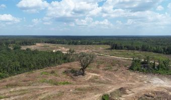 SE Cole Drive, Bogue Chitto, MS 39629