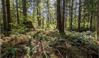 62955 E MOUNTAIN COUNTRY Ln, Brightwood, OR 97011