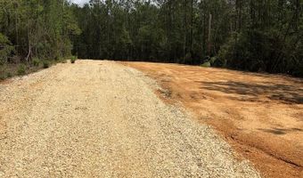 88 Bear Rd, Carriere, MS 39426