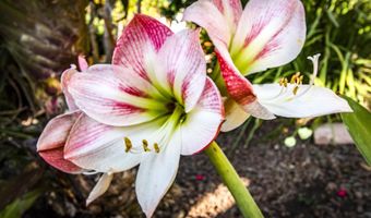 938 S Kihei Rd 301, Kihei, HI 96753