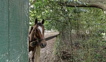 2224 Carter Street Tract C, Camden, SC 29020