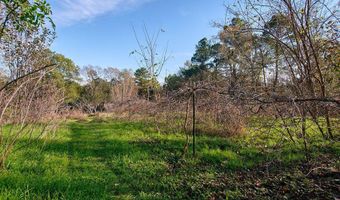 1541 Frank Hall Rd, Bolton, MS 39041