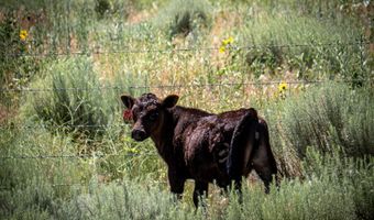 US Highway 385, Alliance, NE 69301