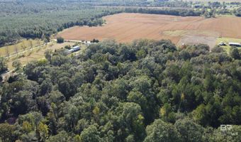 0 Cowpen Creek Rd, Atmore, AL 36502