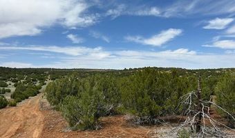50 County Road 3048, Concho, AZ 85924