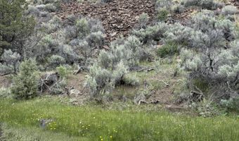 Wall Canyon Reservoir Road, Gerlach, NV 89412