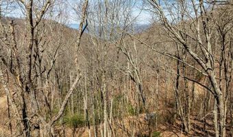 Tbd Bearwood Dr, Cullowhee, NC 28723