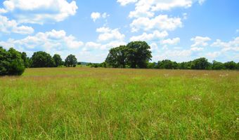 County Road 105, Ava, MO 65608