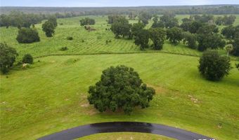 Lot 47 SW 125TH CIRCLE, Archer, FL 32618