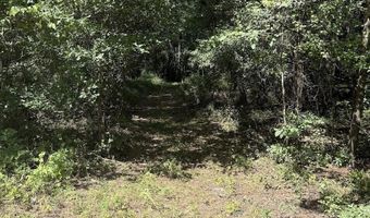 1 Parkers Ferry Rd, Adams Run, SC 29426