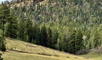 15098 CR 240, Bayfield, CO 81122