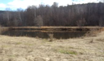 6608 Sand Valley Rd, Attalla, AL 35954