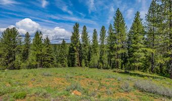 TBD Tamarack View Drive, New Meadows, ID 83654