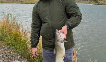 777 County Road 977, Arboles, CO 81147