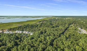 973 Bellas Ln, Awendaw, SC 29429